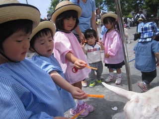 一日動物村